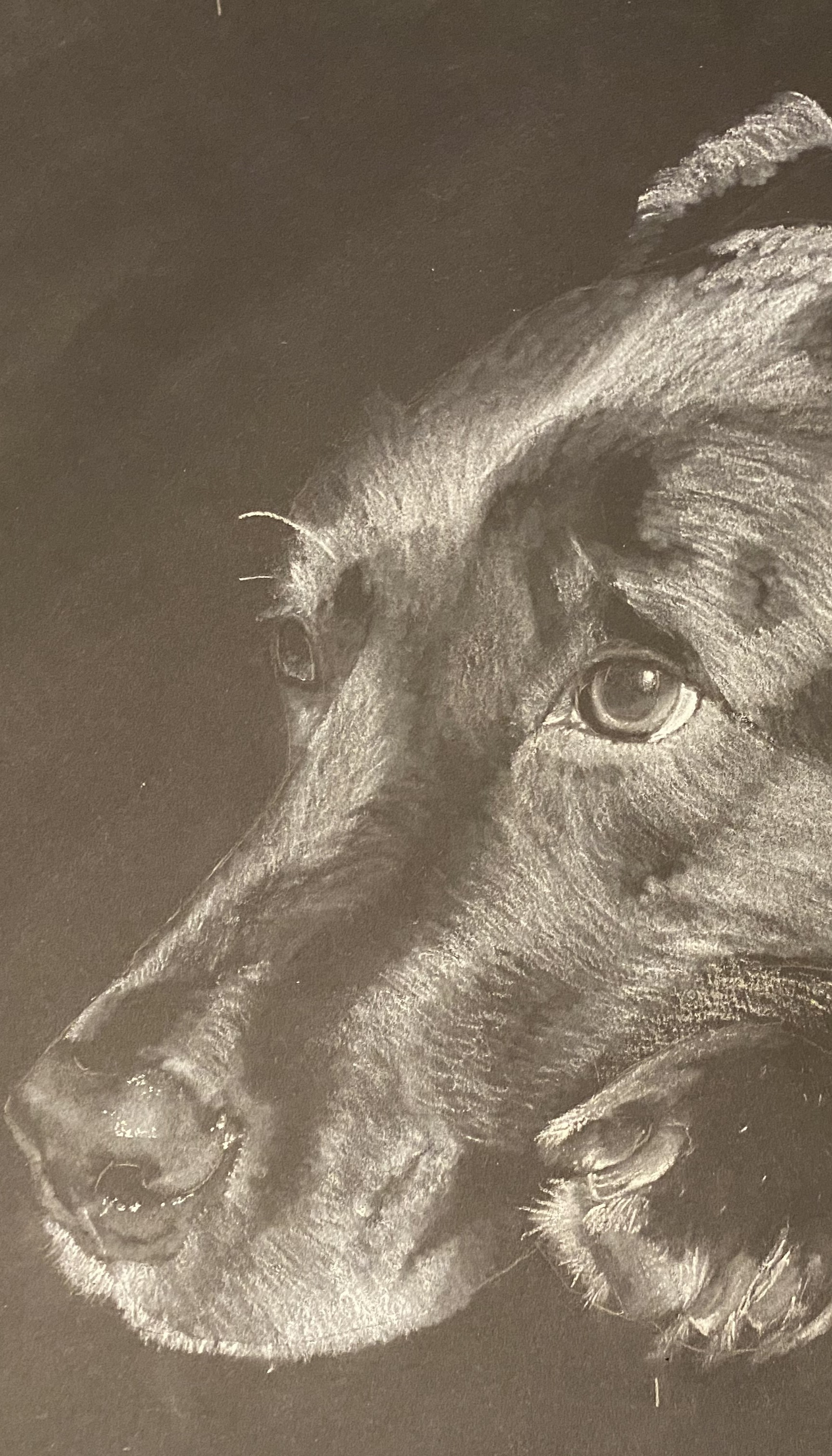 charcoal image 1