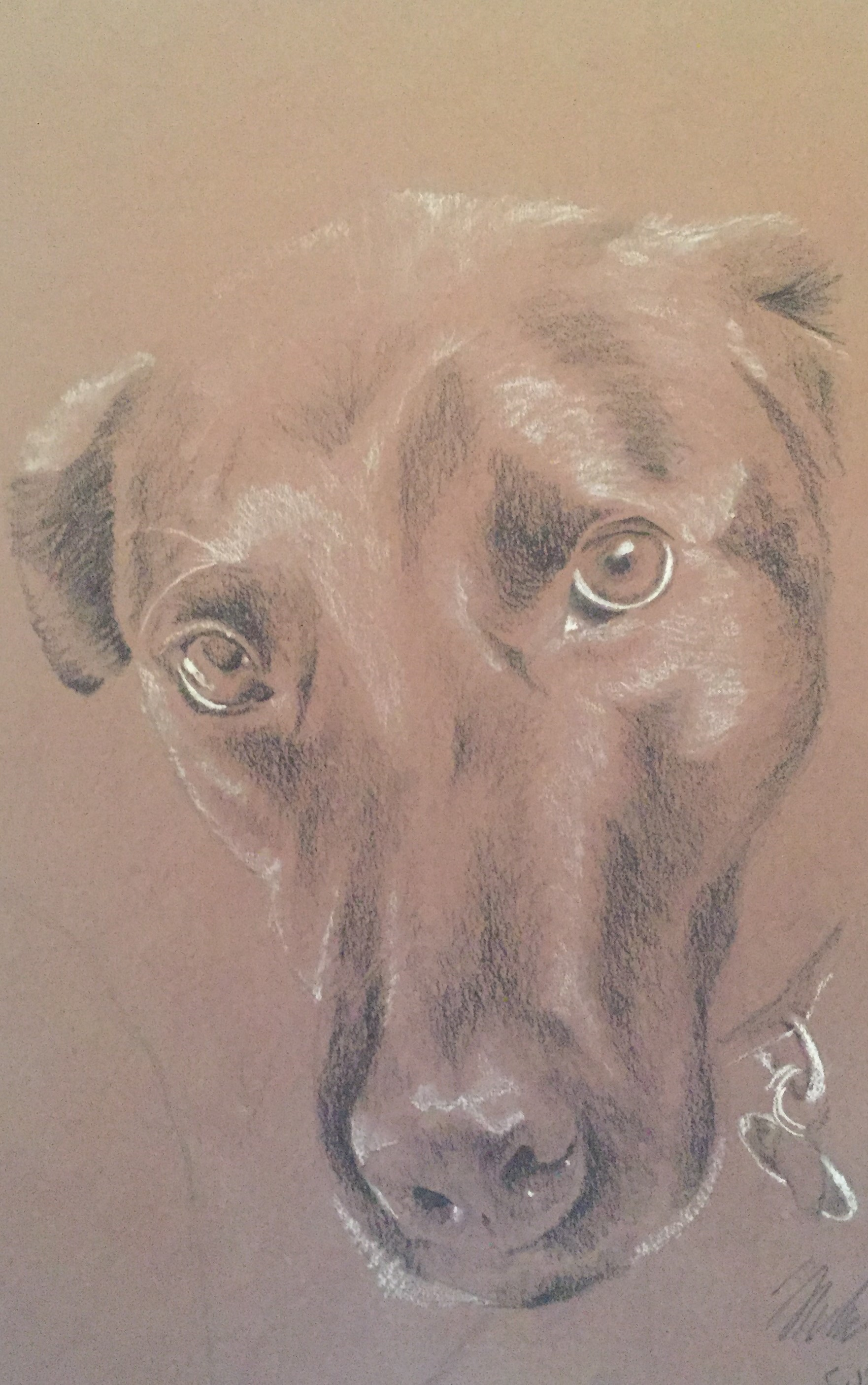 charcoal image 2